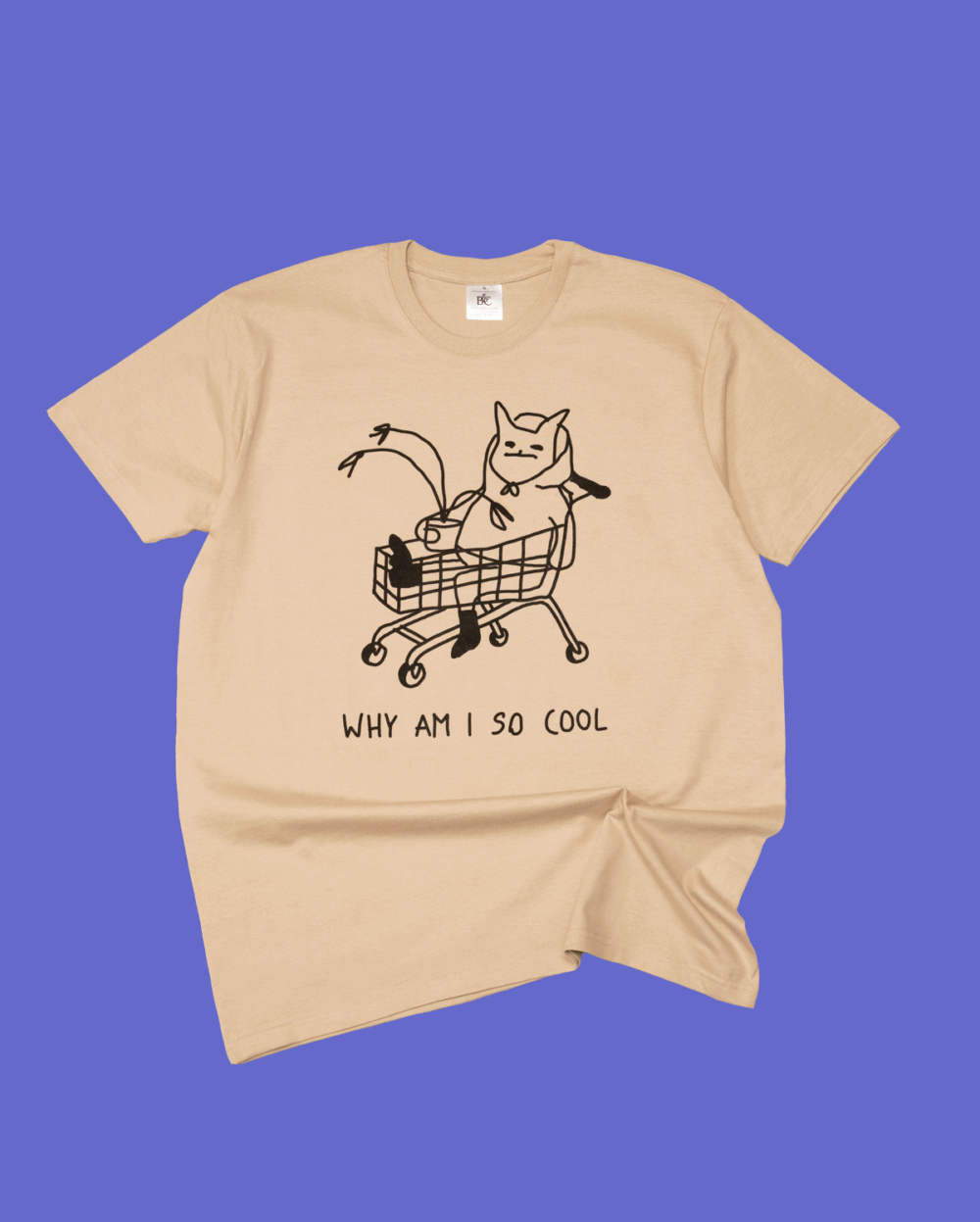 image00008 image00008